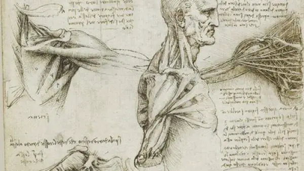 Concepto de anatomía y fisiología