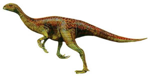 Heterodontosauridae