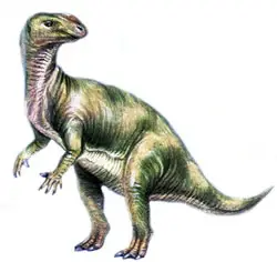 Muttaburrasaurus langdoni