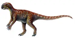 Psittacosaurus mongoliensis