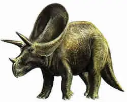Torosaurus latus