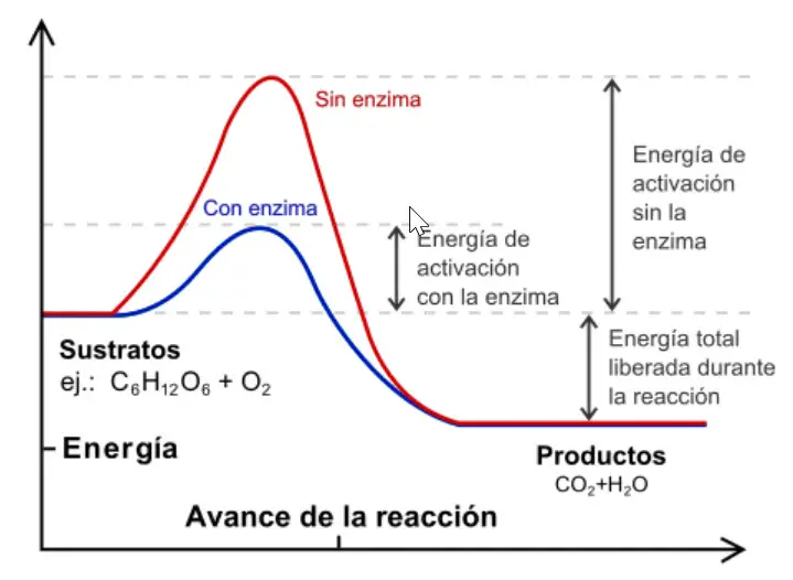 Esquema del estado energético de una reacción química en el transcurso del tiempo