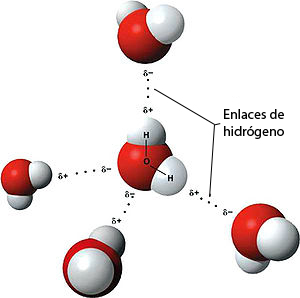 Molécula de agua