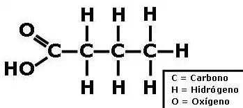 Estructura química de un ácido graso