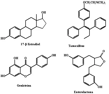 Estructura de los fitoestrogenos