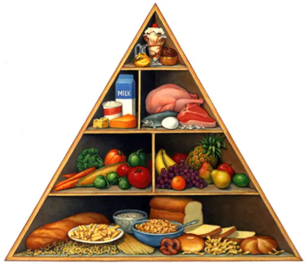 La Pirámide Nutricional