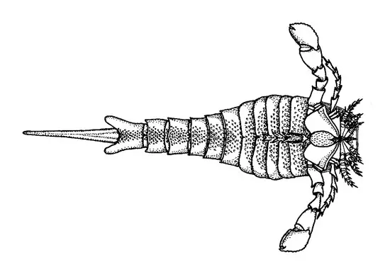 Eurypterus vista ventral