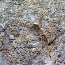 Icnita de terópodo Z3 13