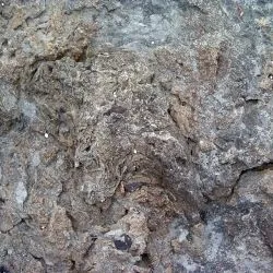 Icnitas de terópodos Z3 21