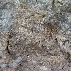 Icnitas de terópodos Z3 22