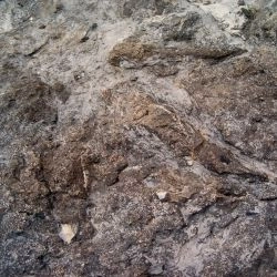 Icnitas de terópodos Z3 25