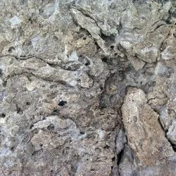 Icnita de terópodo Z3 27