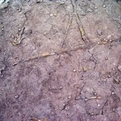 Galerías de excavación 36