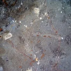 Icnita de terópodo Z1 6