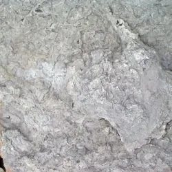 Icnita de terópodo Z2 9