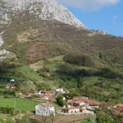 Bermiego