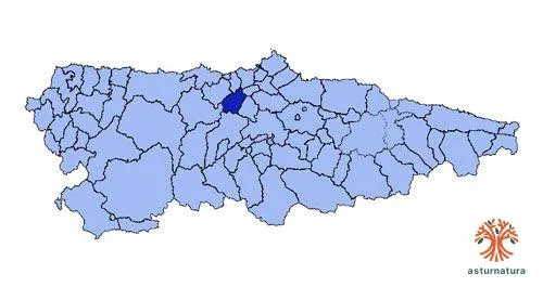 Candamo