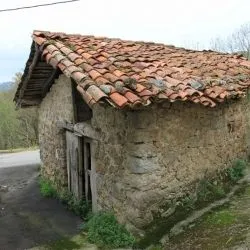 Cimiano VI 8