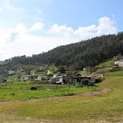 Arbón