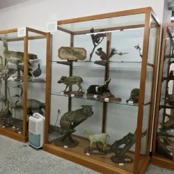 Museo CCNN 21