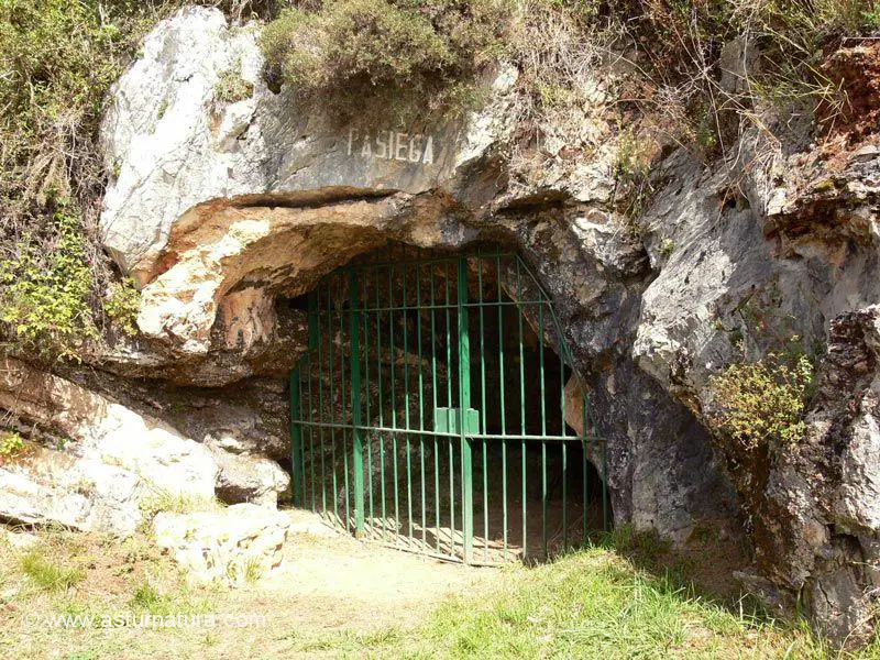 Cueva de La Pasiega