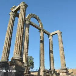 Ruinas romanas de Augustóbriga V