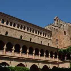 Real Monasterio de Santa María de Guadalupe CXIX
