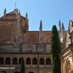 Real Monasterio de Santa María de Guadalupe LXXXVI