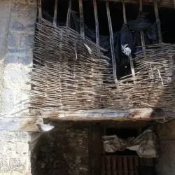 La FozI 2