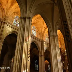 Interior de la Catedral CXL