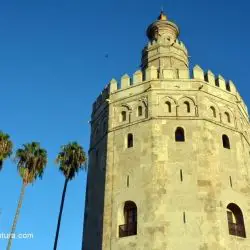 Torre del Oro de SevillaI