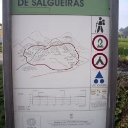 Ruta