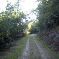 Robledal II 4