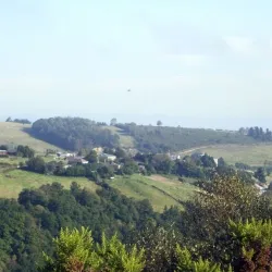 Salgueiras II 8