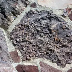 Restos de icnofósiles