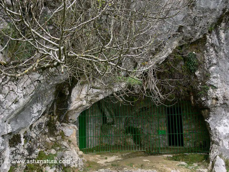 Cueva de Covalanas