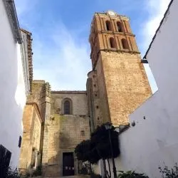 Colegiata de la Candelaria de Zafra 4