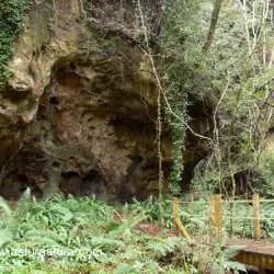 Cuevas