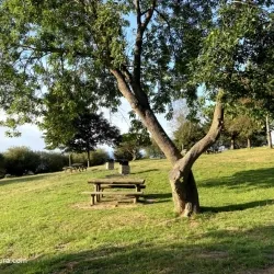Área recreativa Monte Deva 1