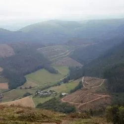 Monteavaro
