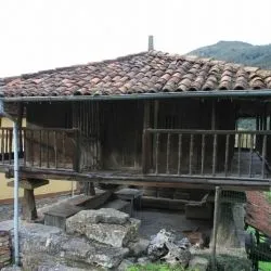 Longoria 16