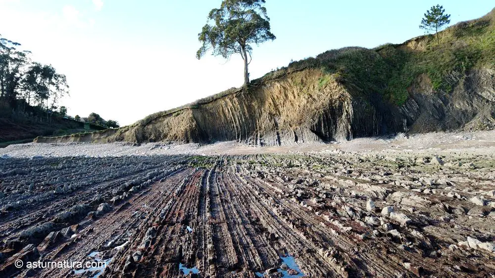 Aspecto general del flysch