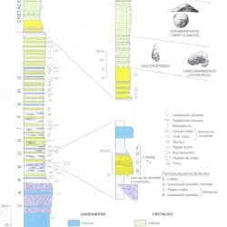 Columna estratigráfica de Arbizu et al.