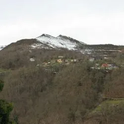 Mardana
