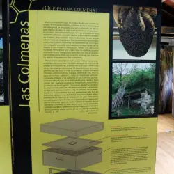Museo de la apicultura de Caso