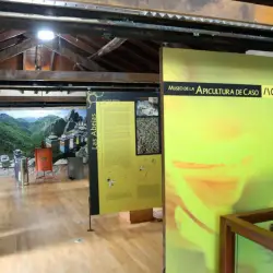 Museo de la apicultura de Caso