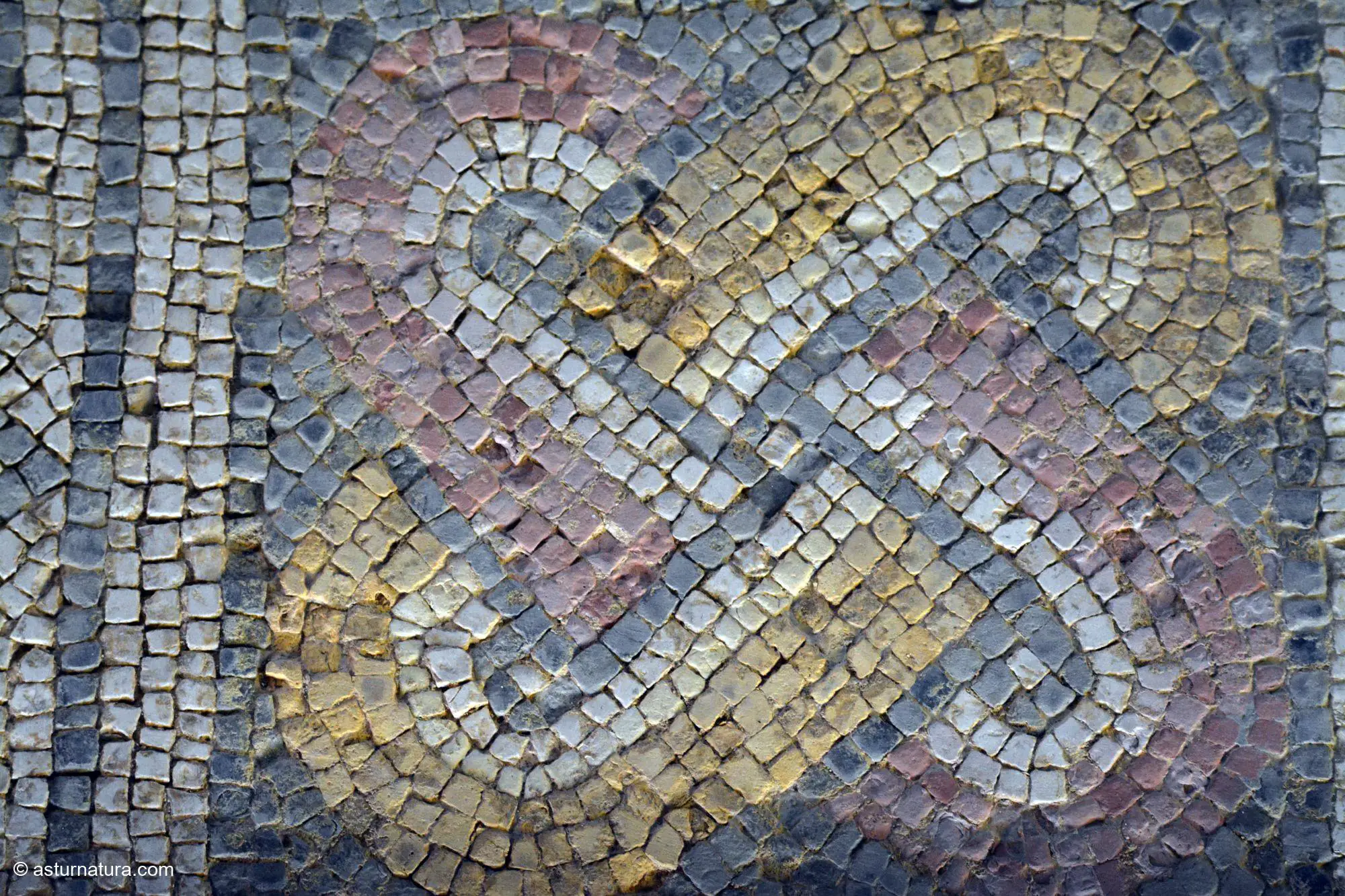 Mosaico en la Villa romana de La Olmeda