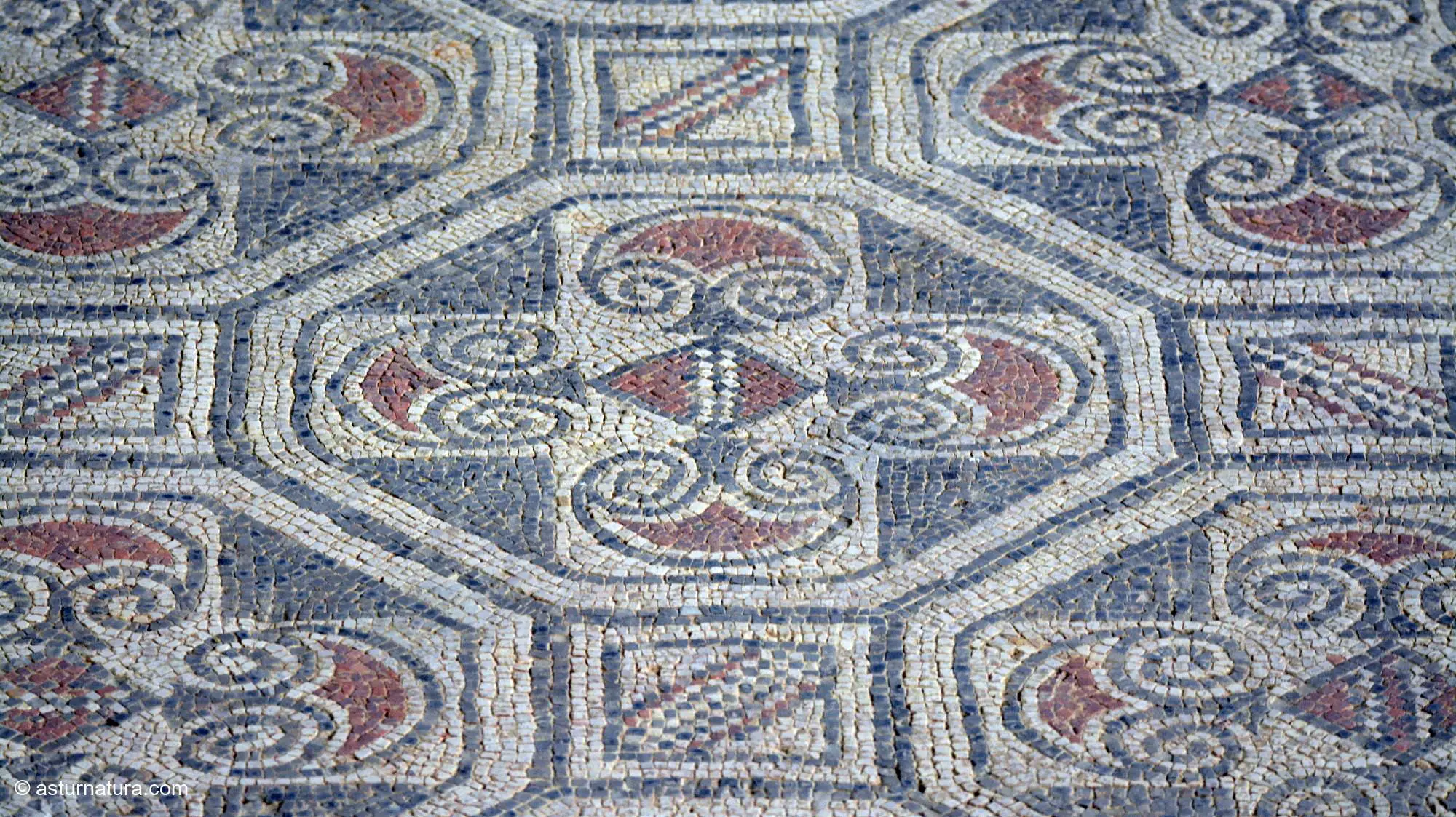 Detalle de mosaico en la Villa romana de La Olmeda