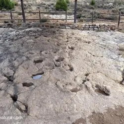 Yacimientos de icnitas de Burgos y Soria