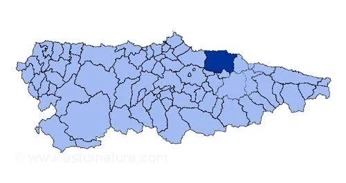 Villaviciosa